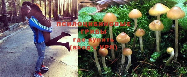 хмурый Киреевск